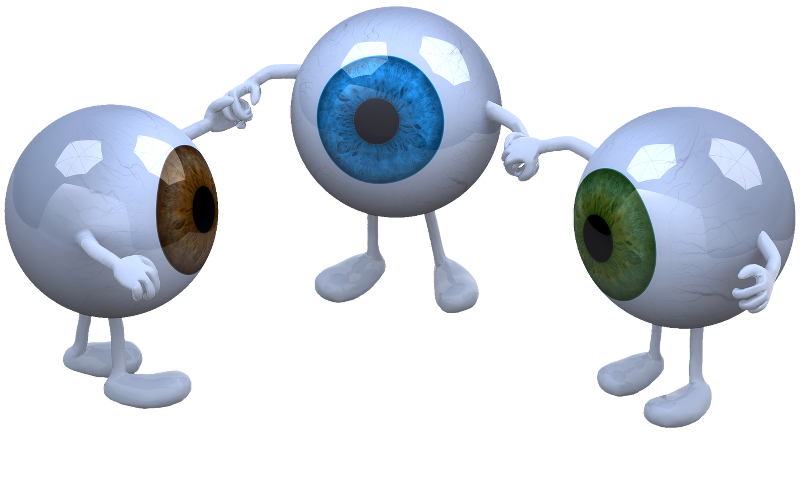 Three Eyes on Fly